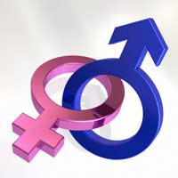 Gender And Sexuality: Frequently Asked Questions