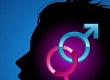 What is Gender Reassignment Surgery?