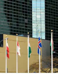 Human Rights basic Rights human
